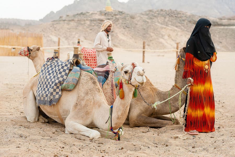 <span> - </span> Camel Riding in Desert